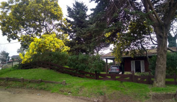 WhatsApp Image 2025-05-16 at 15.49.20.jpeg